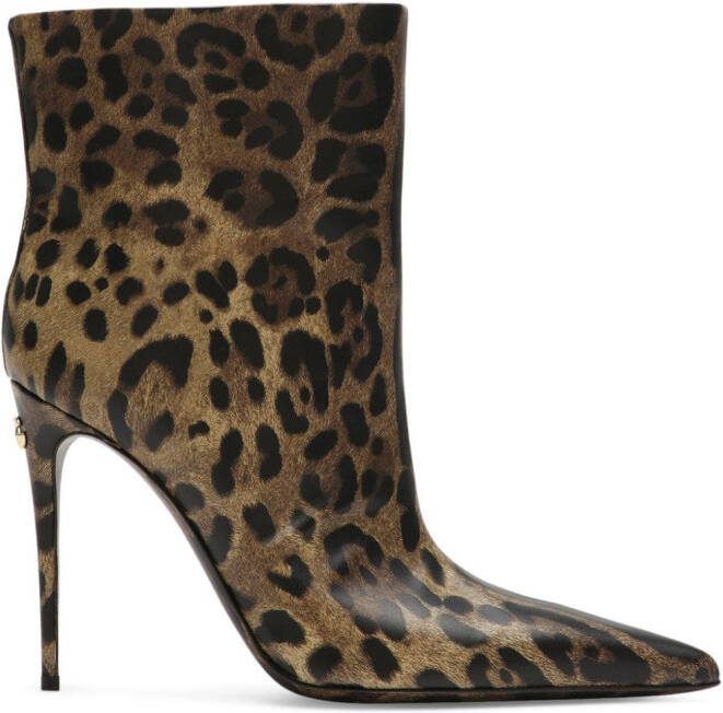 Dolce  Gabbana 105mm leopard-print leather boots Brown
