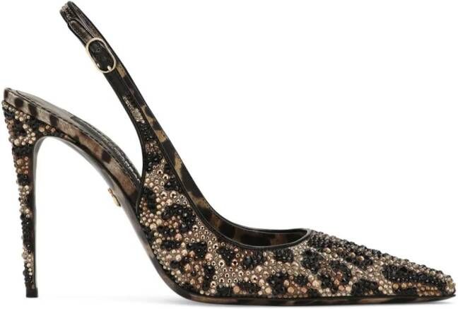 Dolce  Gabbana 105mm leopard-print leather pumps Brown