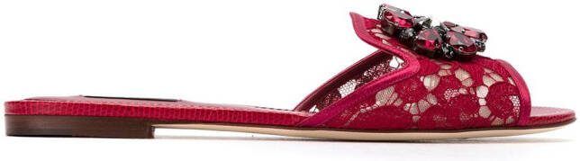 Dolce  Gabbana Rainbow Lace brooch-detail sandals Red