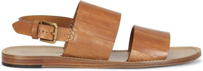Dolce  Gabbana Pantheon leather sandals Brown