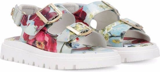 Dolce  Gabbana Kids floral-print double-buckle sandals Blue
