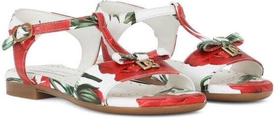 Dolce  Gabbana Kids logo-plaque poppy-print sandals Red