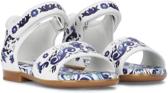 Dolce  Gabbana Kids Majolica-print leather sandals White