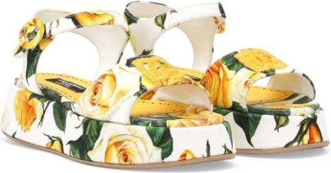 Dolce  Gabbana Kids rose-print cotton sandals White