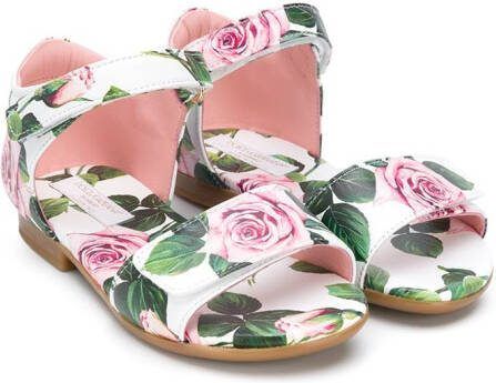 Dolce  Gabbana Kids roses print touch strap sandals White