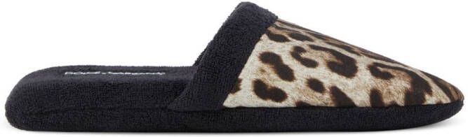 Dolce  Gabbana leopard-print terry slippers Black