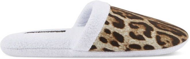 Dolce  Gabbana leopard-print terry slippers White