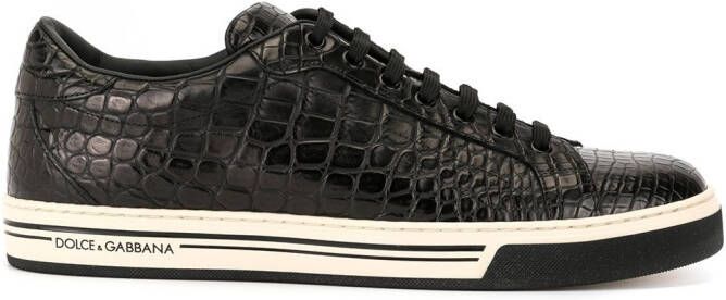 Dolce  Gabbana Rome leather sneakers Black