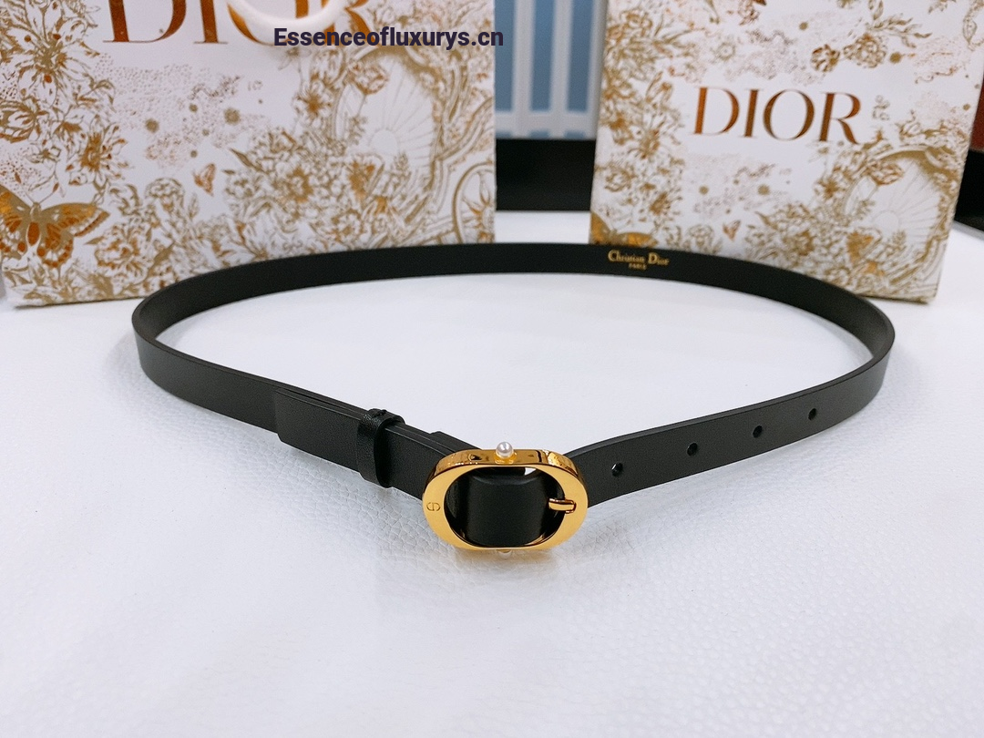 Dior Chic Belt Black Smooth Calfskin 20MM