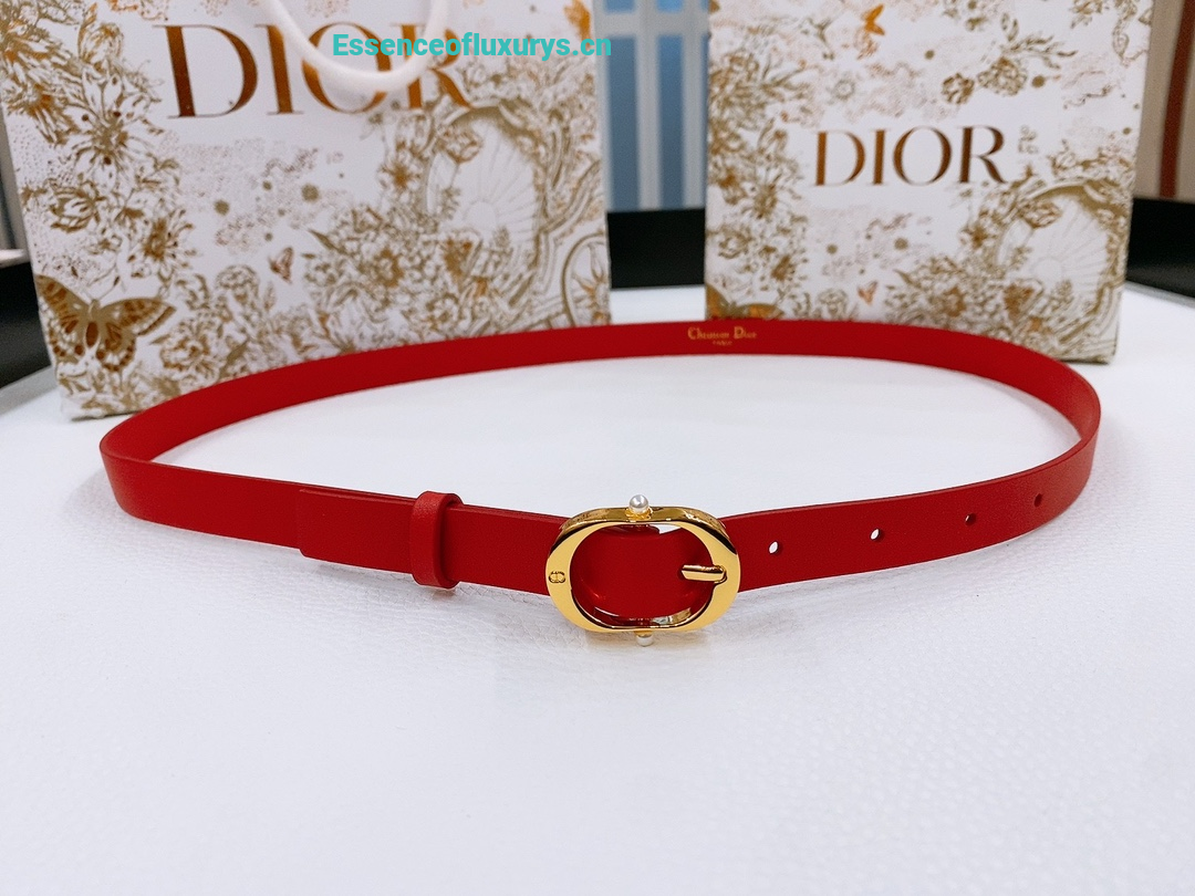 Dior Chic Belt Red Smooth Calfskin 20MM