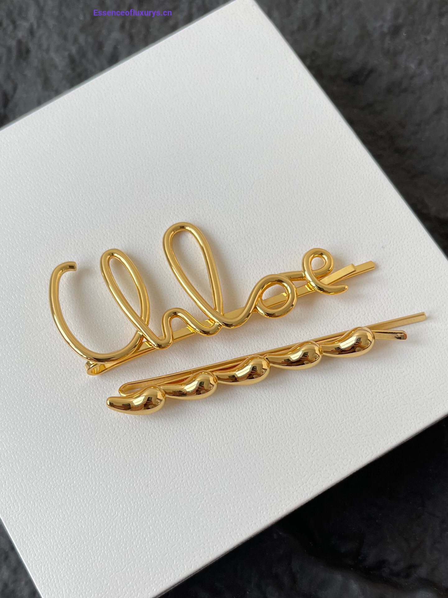 Chloe The Chloe Iconic Hair Clips